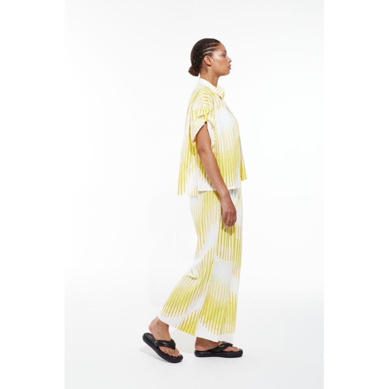 Chemise Andrew Maree Lime