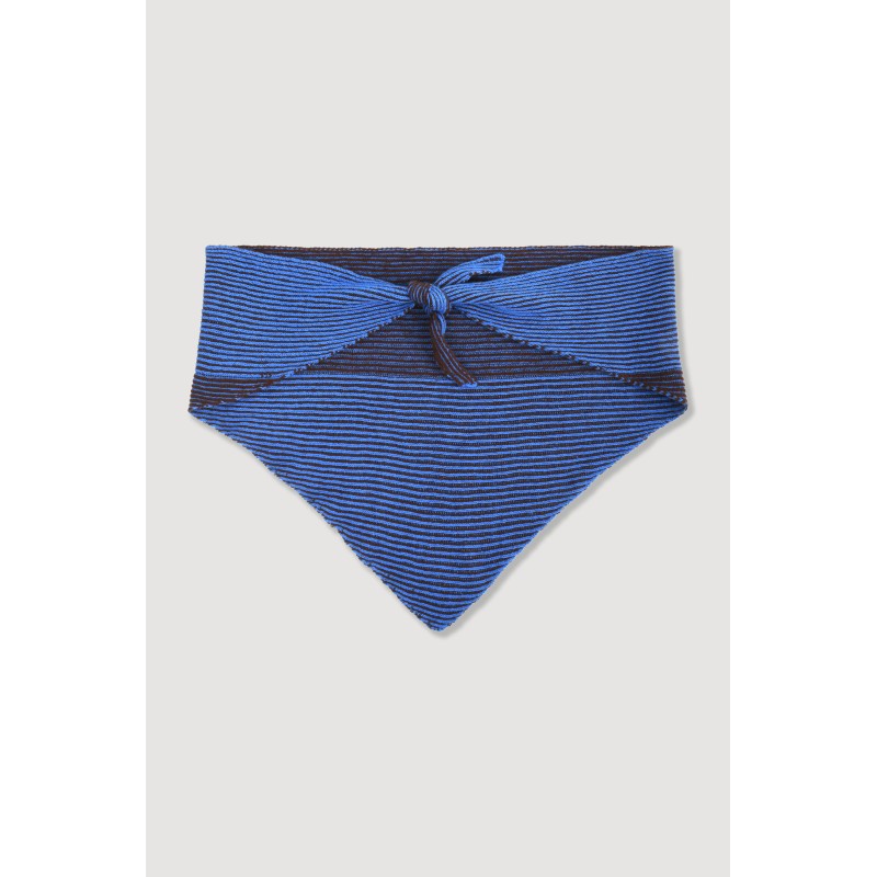 Triangle Alfred Bleu